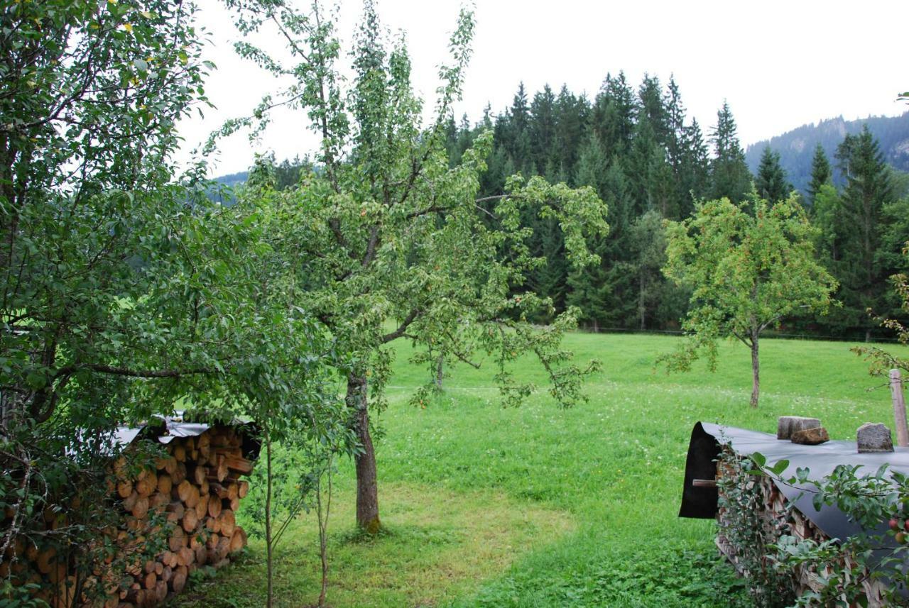 Hofstelle Auer Appartement Gosau Buitenkant foto