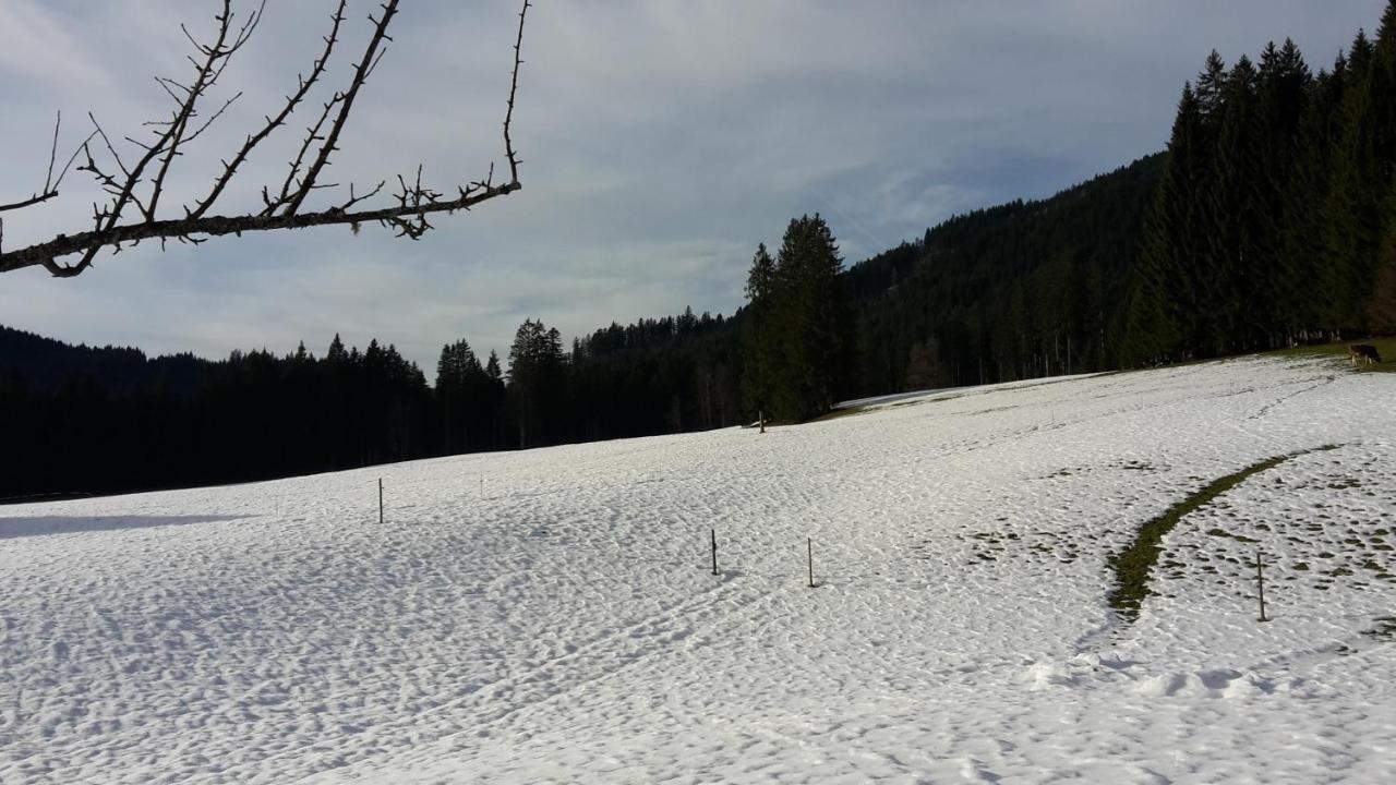 Hofstelle Auer Appartement Gosau Buitenkant foto