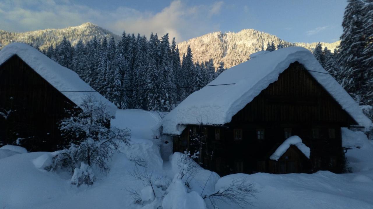 Hofstelle Auer Appartement Gosau Buitenkant foto