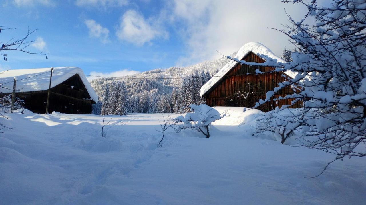 Hofstelle Auer Appartement Gosau Buitenkant foto